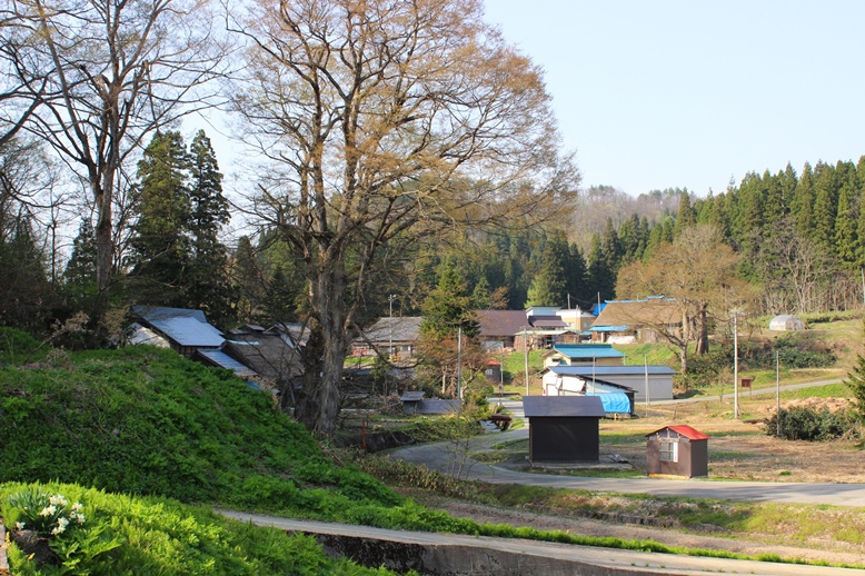 五十沢／山形県村山市 町並・集落 俯瞰百景